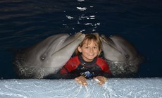 DOLPHIN SHOW $15